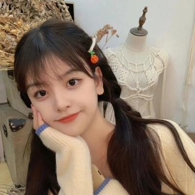 少年同盟第一季